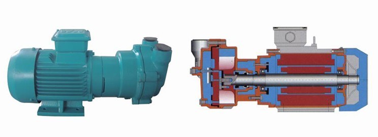 2BV水環(huán)真空泵